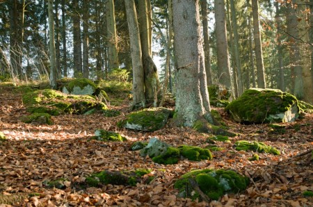 boubin kubova hut 2019