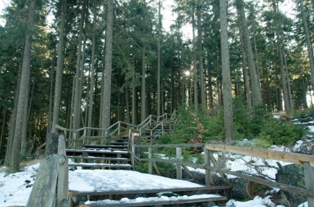 boubin kubova hut 2019