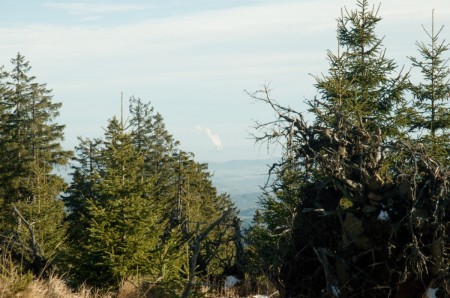 boubin kubova hut 2019