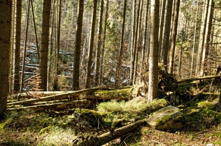 boubin kubova hut 2019