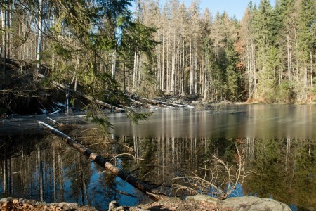 boubin kubova hut 2019