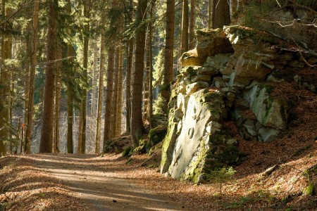 boubin kubova hut 2019