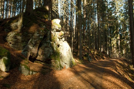 boubin kubova hut 2019