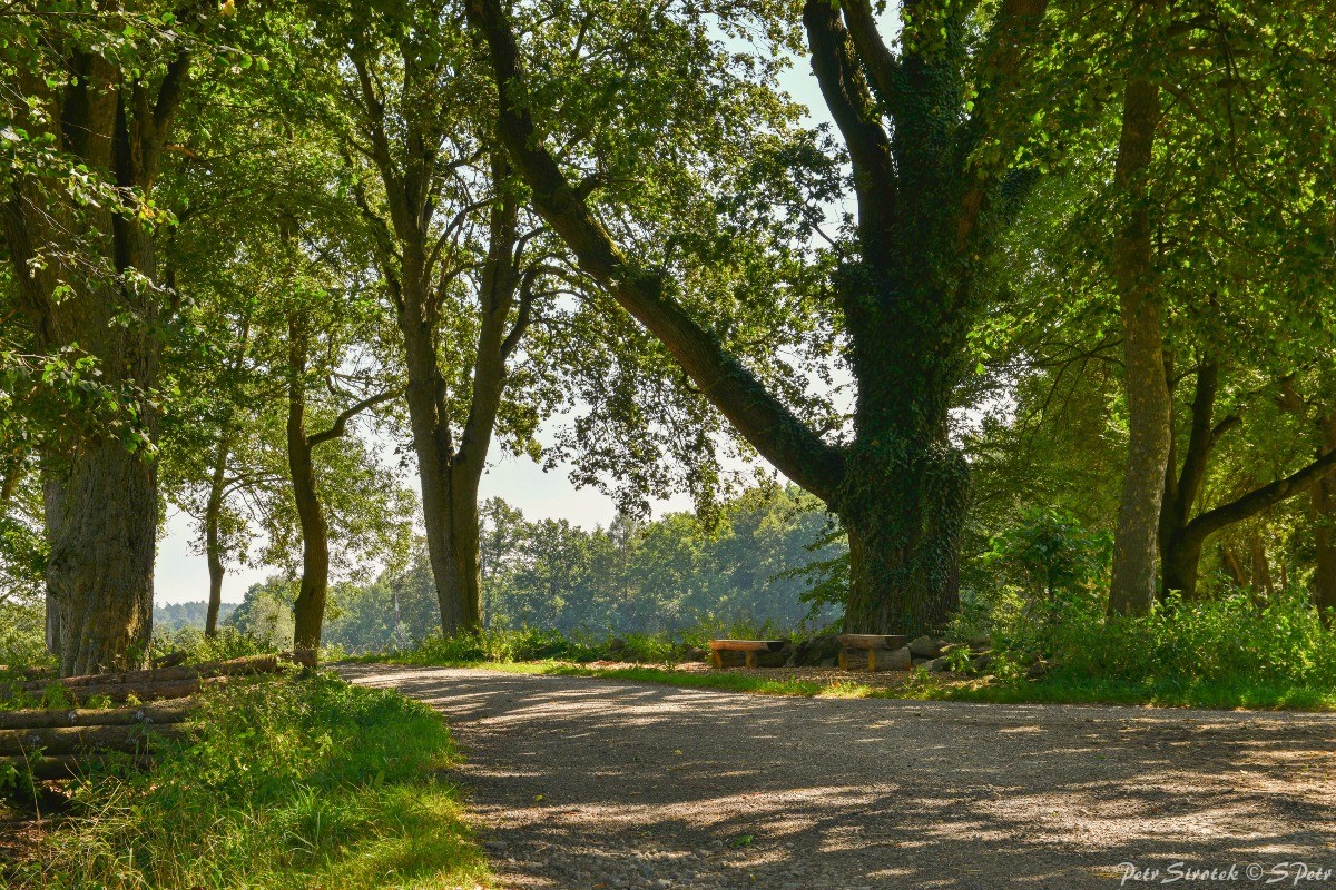 Kamenný Malíkov - Česká Olešná