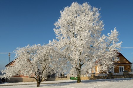 klucenice priroda zima2022