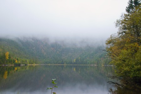 Ple&scaron;n&eacute; jezero v roce 2024 po 19 letech.