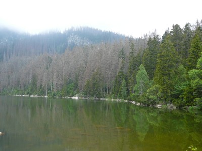 Ple&scaron;n&eacute; jezero v roce 2005.