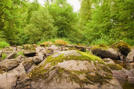 vraz otava