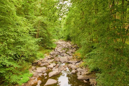 vraz otava