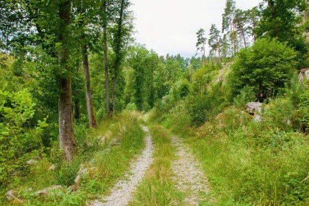 vraz otava